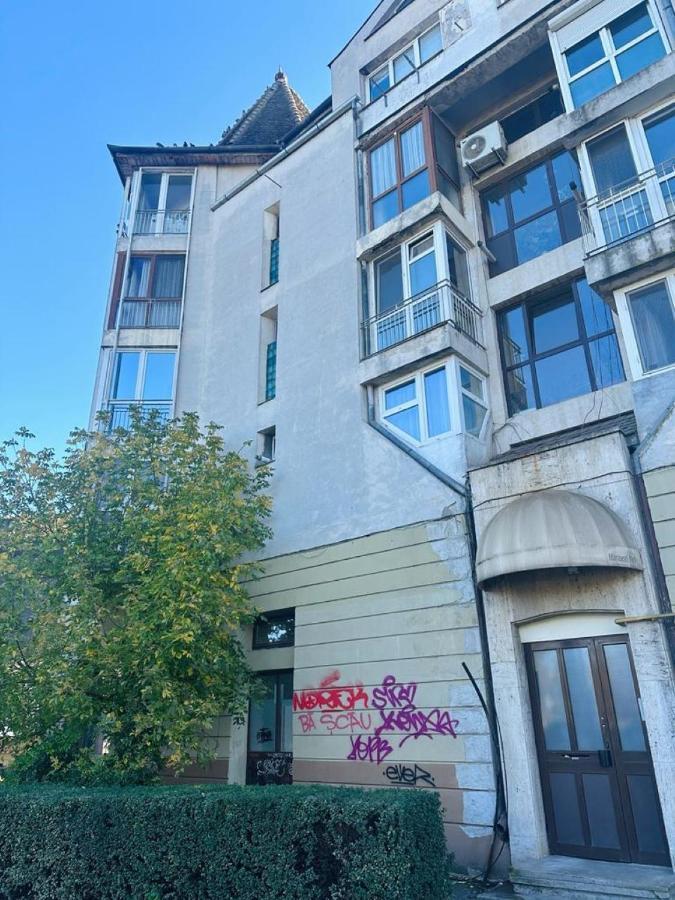 Central Apartment No1 ティミショアラ エクステリア 写真